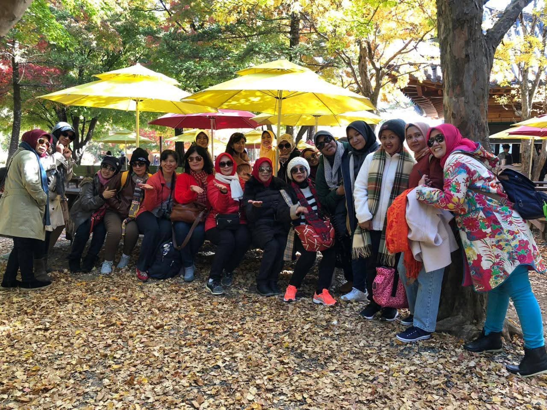 ACP Tour & Travel - Foto 1